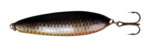 Kalannahka: A lightened spoon fish leather coating (cyprinid fish) Kalannahka: A lightened spoon fish leather coating (cyprinid fish)